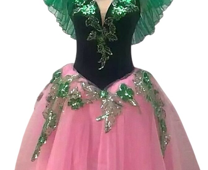Nutcracker Waltzing Flowers Tutu